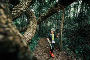 BIB: 
                            <button type="button" onclick="openModal(25394391)" class="btn btn-primary btn-sm float-right btn-popup" data-toggle="modal" data-target=".modal-high-quality">
                        <i class="fas fa-shopping-cart"></i> Add to Cart
                    </button>
                                            <button type="button" onclick="isThisMe(25394391, true)" class="btn btn-success btn-sm float-right btn-popup btn-isme hidden" data-toggle="tooltip" data-placement="bottom" title="นี่คือรูปของคุณใช่ไหม คลิกที่นี่เพื่อเอาเข้าอัลบั้ม">
                        <i class="fas fa-plus"></i> Add to album
                    </button>
                    <button type="button" onclick="isThisMe(25394391, false)" class="btn btn-warning btn-sm float-right btn-popup btn-isnotme hidden">
                        <i class="fas fa-ban"></i> Remove from album
                    </button>